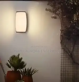 Outdoor Lights/Wall Light