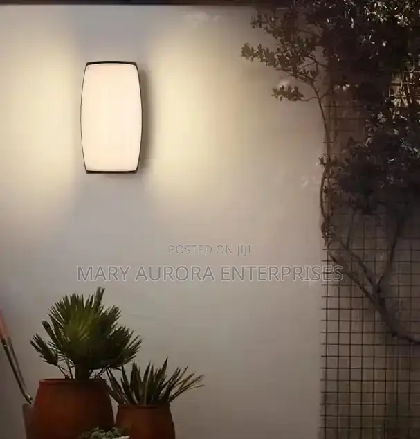 Outdoor Lights/Wall Light