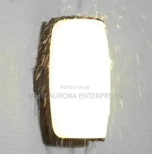 Outdoor Lights/Wall Light