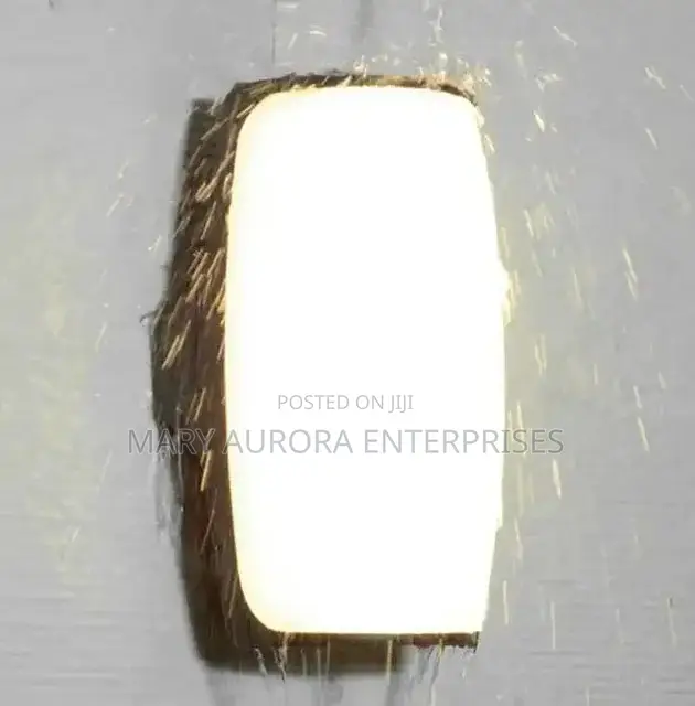 Outdoor Lights/Wall Light