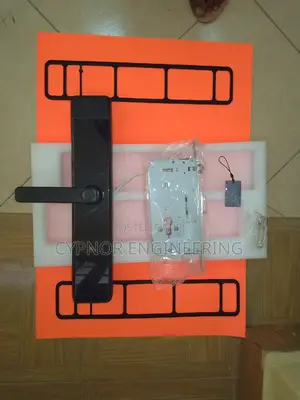 Topsec Smart Locks for Chinese Door