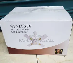 24 Inch Ceiling Fan