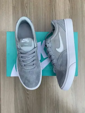 Nike Sb Shoes