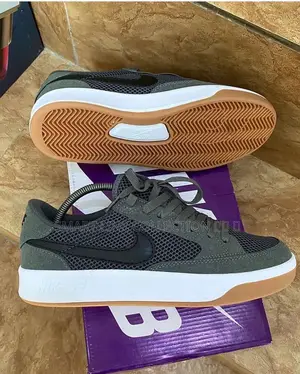 New Nike Sb