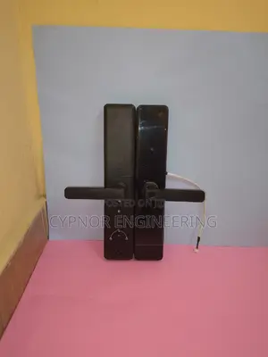 Intelligent Outdoor Electronic Keyless Digital Door Lock