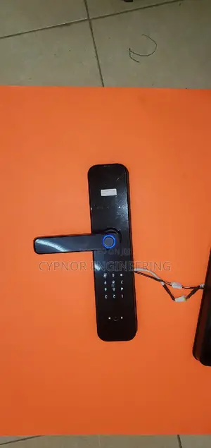 Tuya Automatic Smart Electronic Door Lock
