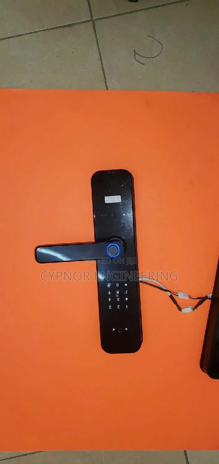 Tuya Automatic Smart Electronic Door Lock