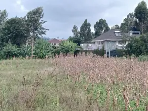 Prime Plots for Sale (1⁄8 /50 by 100 Ft)