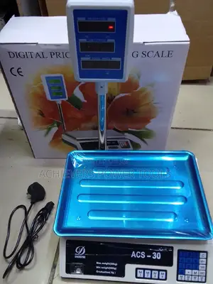 Electric Price Computing Scale