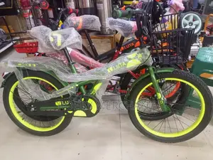 Kids Teens Bicycle