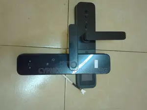 Control Your Airbnbs Access With Our Topsec Biometric Lock