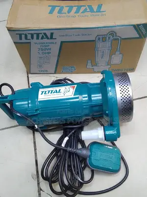 Electric Submersible Water Pump