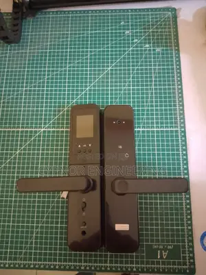Face Recognition Camera Fingerprint Smart Door Lock