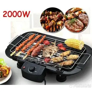 Electric Meat Grill Adjustable