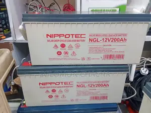 Nippotec 200ah 12v Deep Cycle Battery