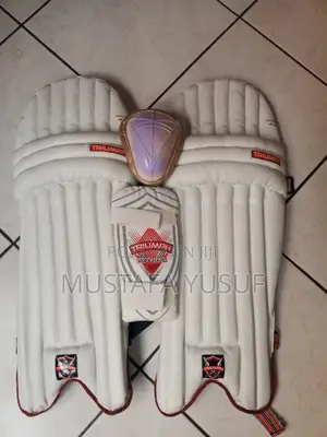 Cricket Set of Pads ,Guards and Gloves .