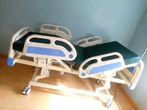3 Function Electric Abs Bed With Mattress