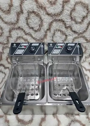 Affordable Double Deep Fryer