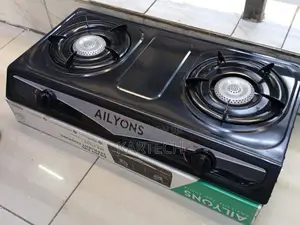 AILYONS GS013-2 Gas Cooker Stainless Steel Double Burner
