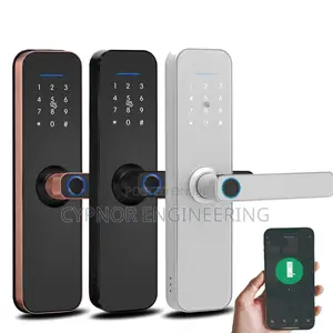 Enhanced Access With Biometric Passcode Door Locks
