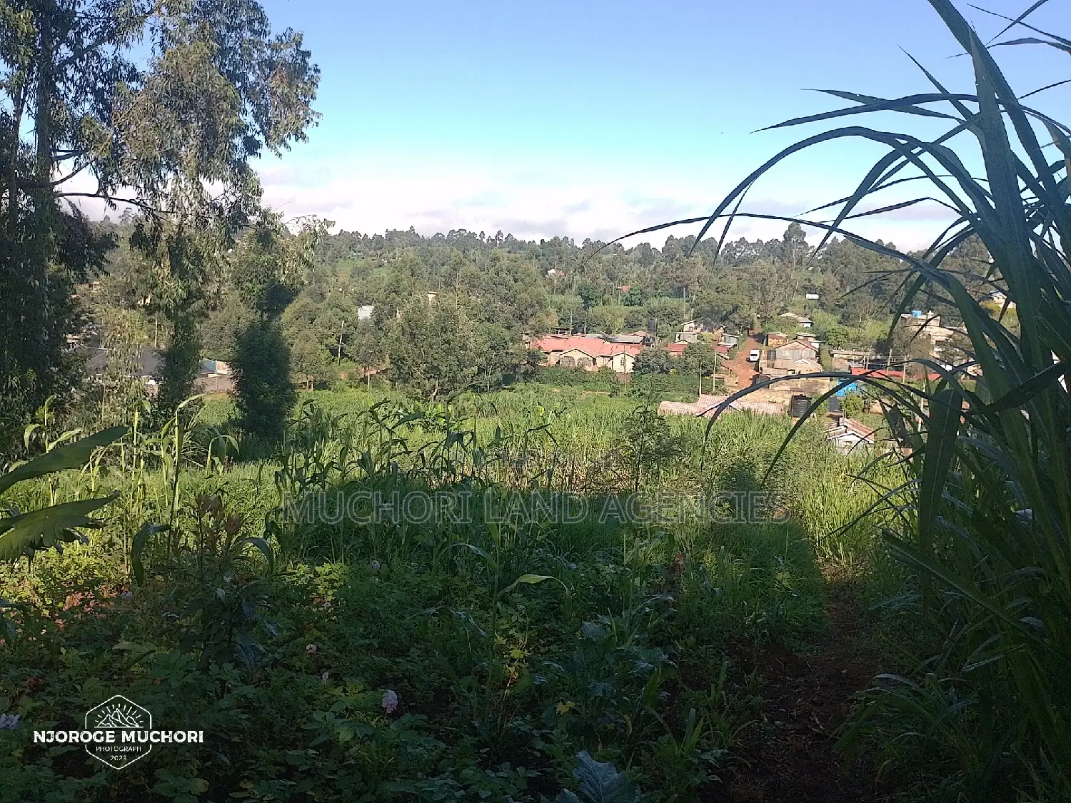 1/2 Acre Kerwa