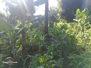 1/2 Acre Kerwa