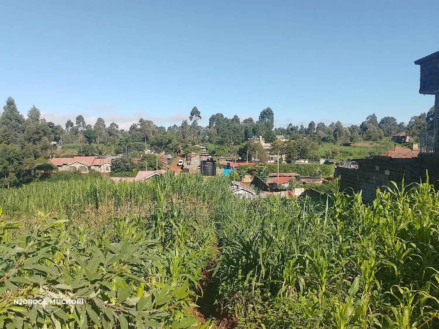 1/2 Acre Kerwa
