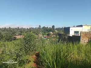 1/2 Acre Kerwa