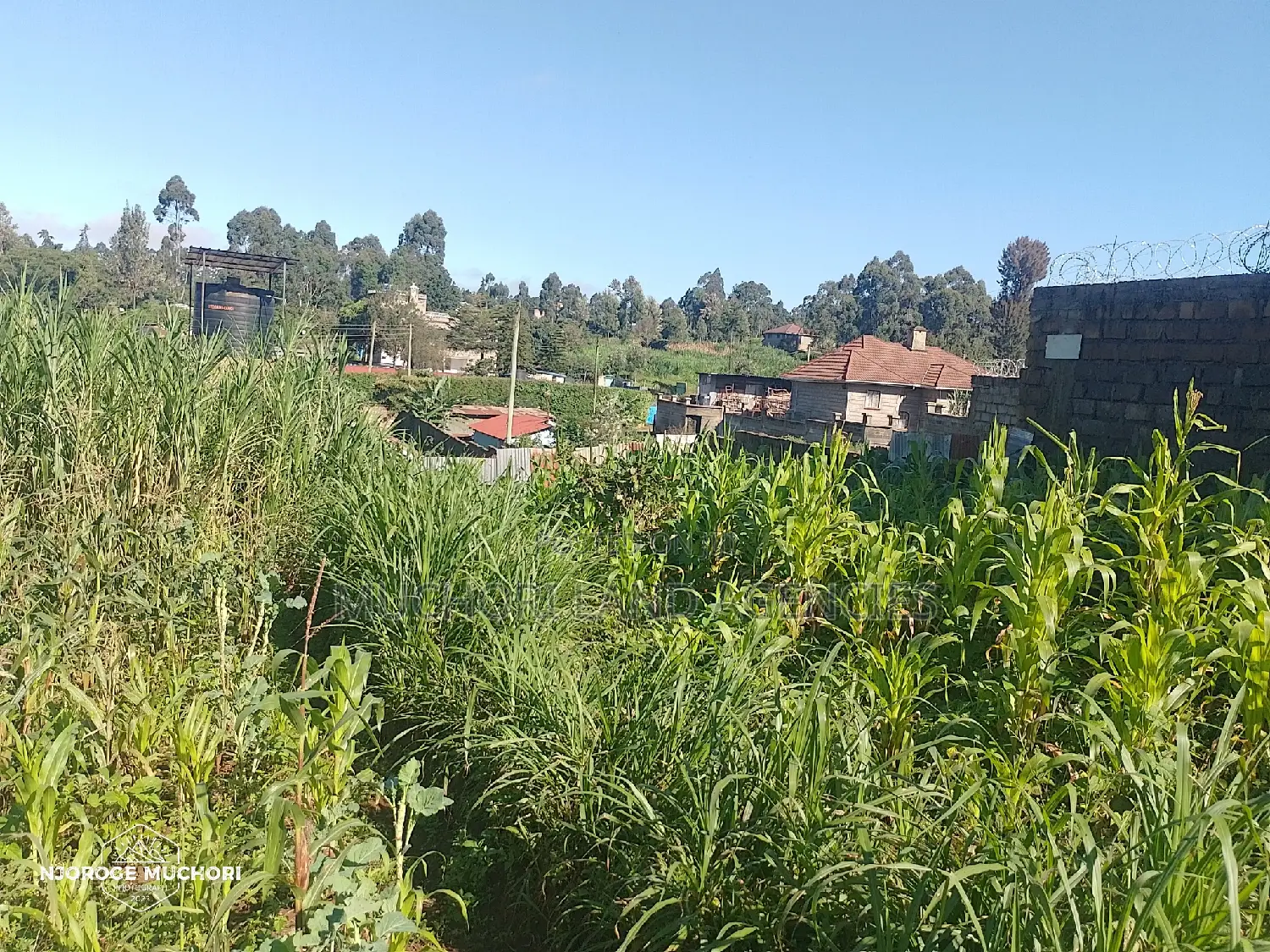 1/2 Acre Kerwa