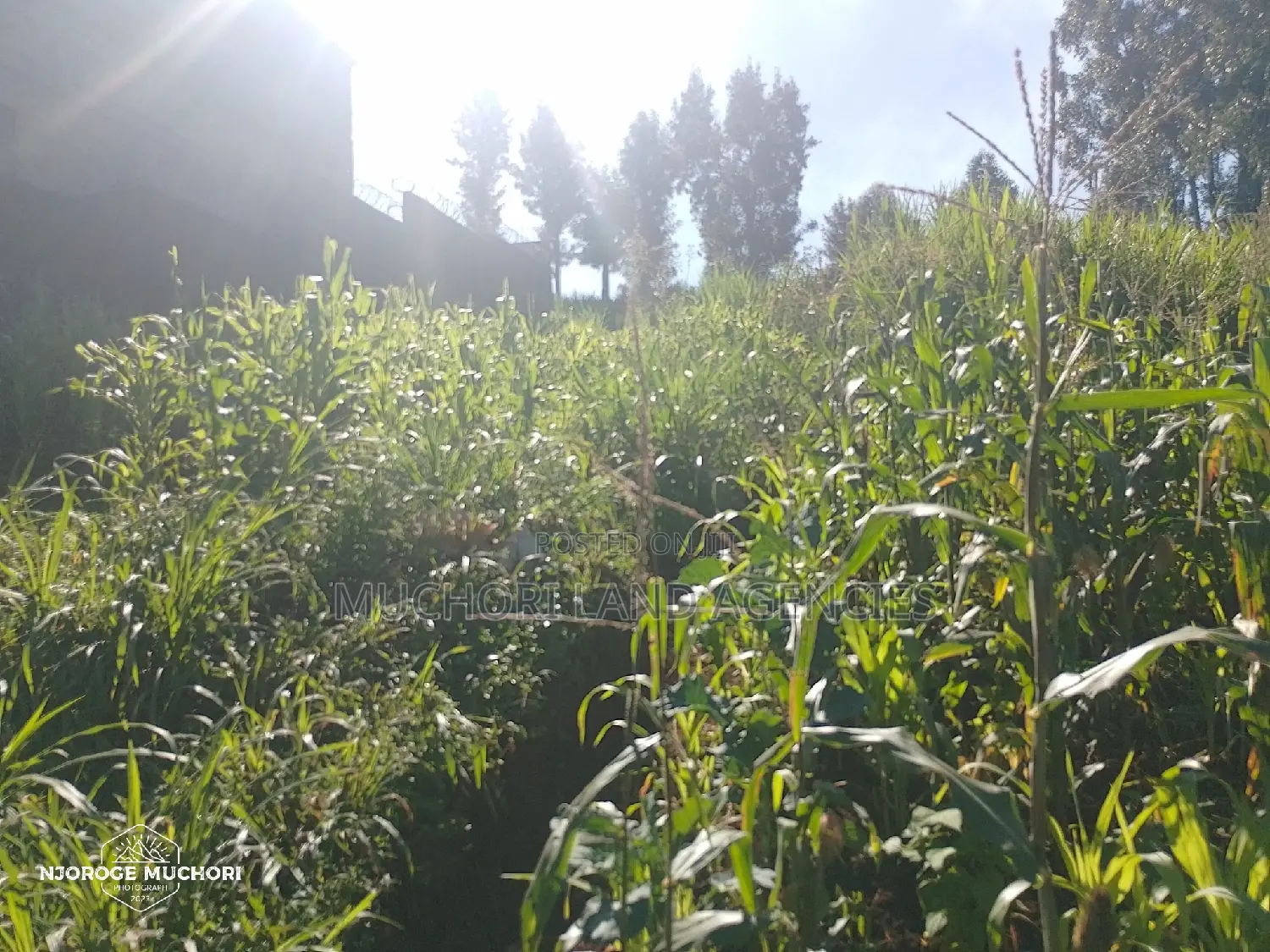 1/2 Acre Kerwa