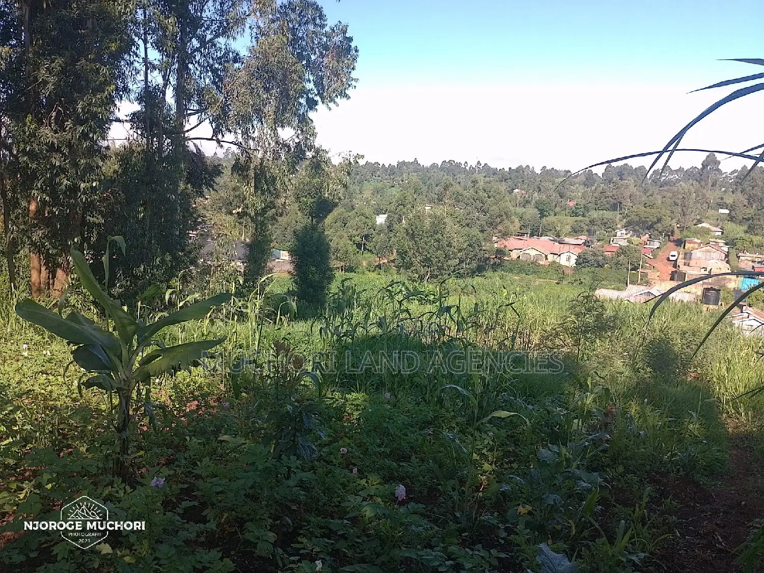 1/2 Acre Kerwa