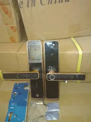 Morden Electronic Biometric Smartlock With Fingerprint