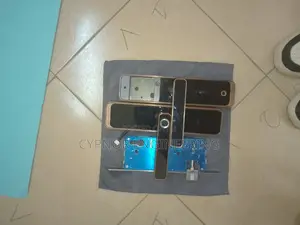 Tuya Wifi Remote Controlled Smart Lock for Hotels Offices