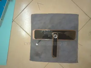 Stainless Steel Smart Electronic Multifunction Smartlock