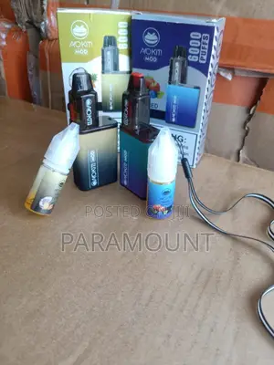 Blueberry Mint Refillable Rechargeable Vape