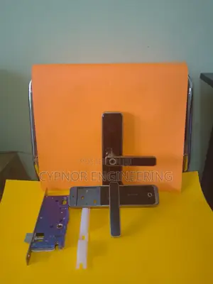 Advanced Steel Door Access Biometric Locks With RFID Card
