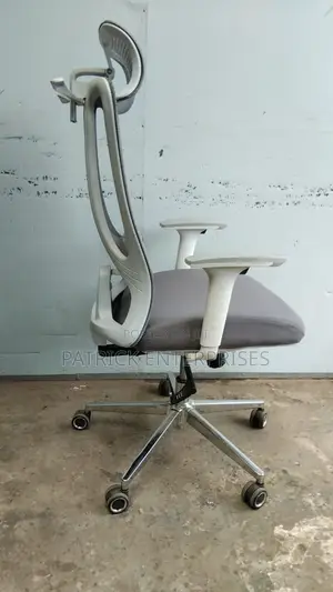 Executive Orthopedic Office Chair With Court Hunger