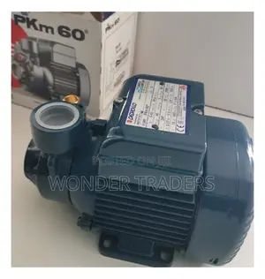 Pedrollo Water Pump 0.5 Hp40 M Head 40 L/Min