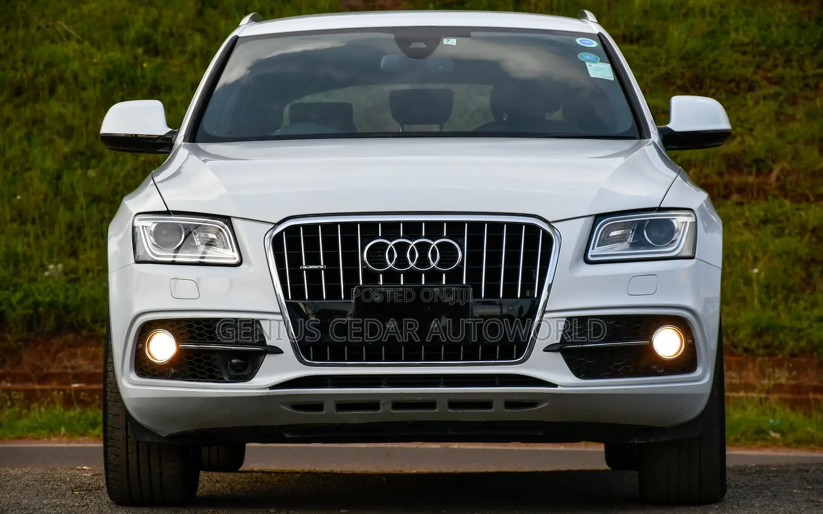 Audi Q5 2016 Pearl