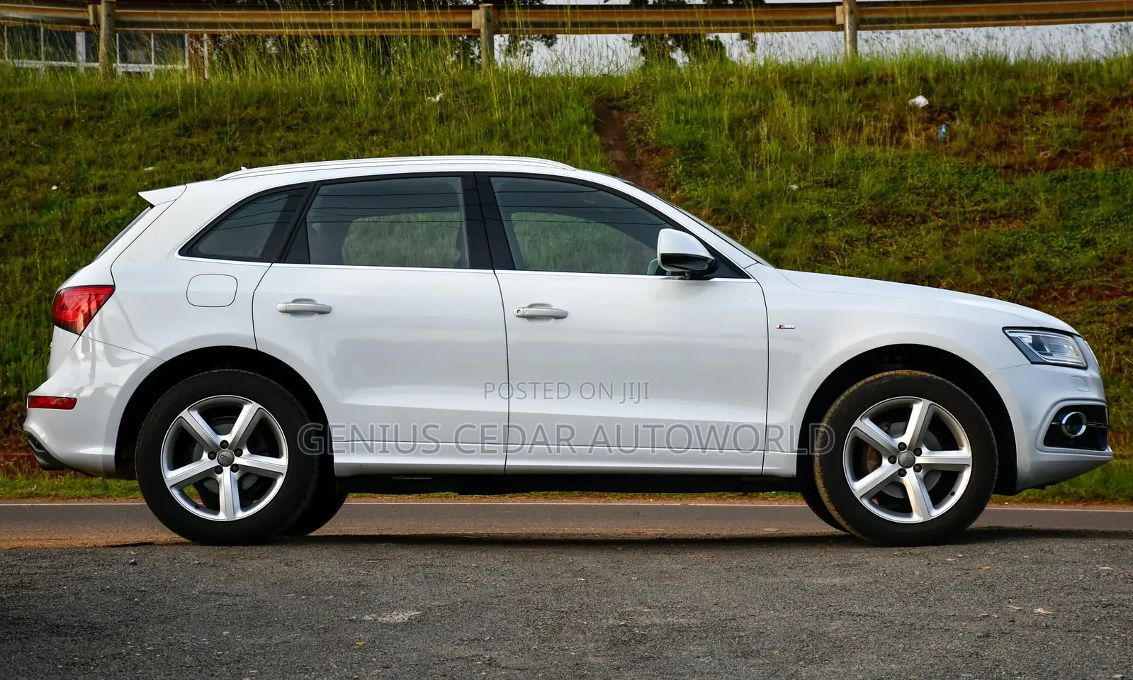 Audi Q5 2016 Pearl