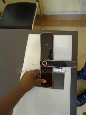 Smart Connectivity Biometric Passcode Locks for Wooden Doors