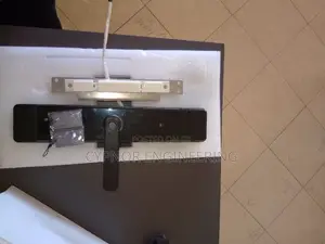 Smart Connectivity Biometric Locks for Seamless Hotel Access