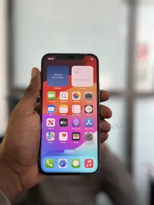Apple iPhone 12 Pro 256 GB Gray