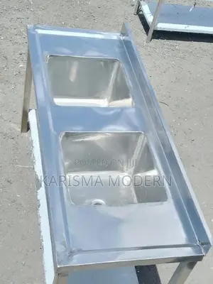Elegant Double Sink