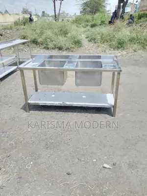 Elegant Double Sink