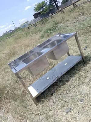 Elegant Double Sink