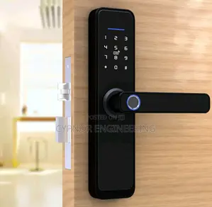 Biometric Mastery Smart Locks for Airbnbs Property Owners