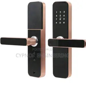 Biometric Innovation Enhanced Wifi Door Lock With RFID Card