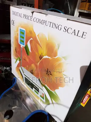 Digital Weighing Scale 30kg 