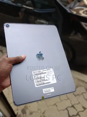 Apple iPad Pro 64 GB Gray